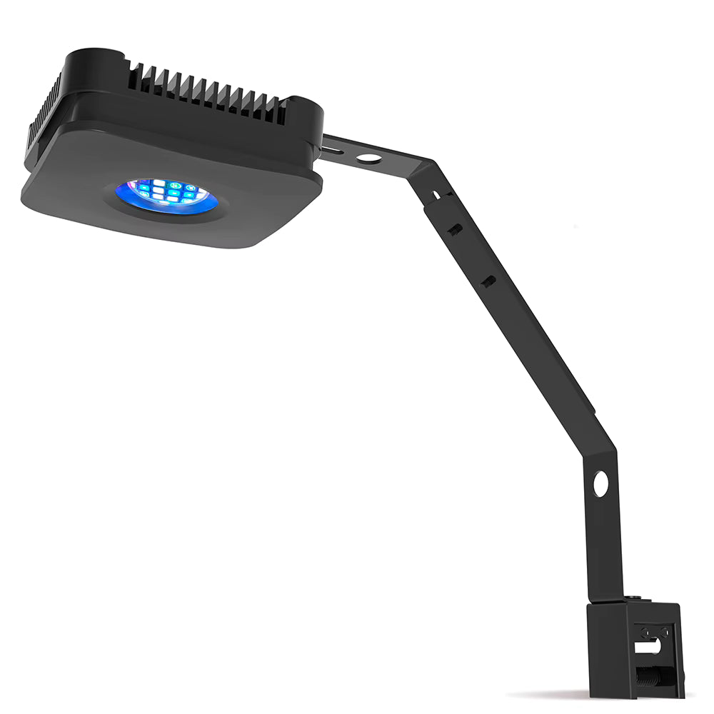 Lominie Pixie 30 WiFi Reef Aquarium Light