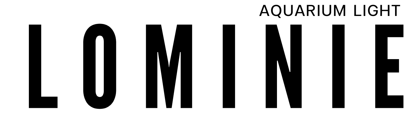 LOMINIE